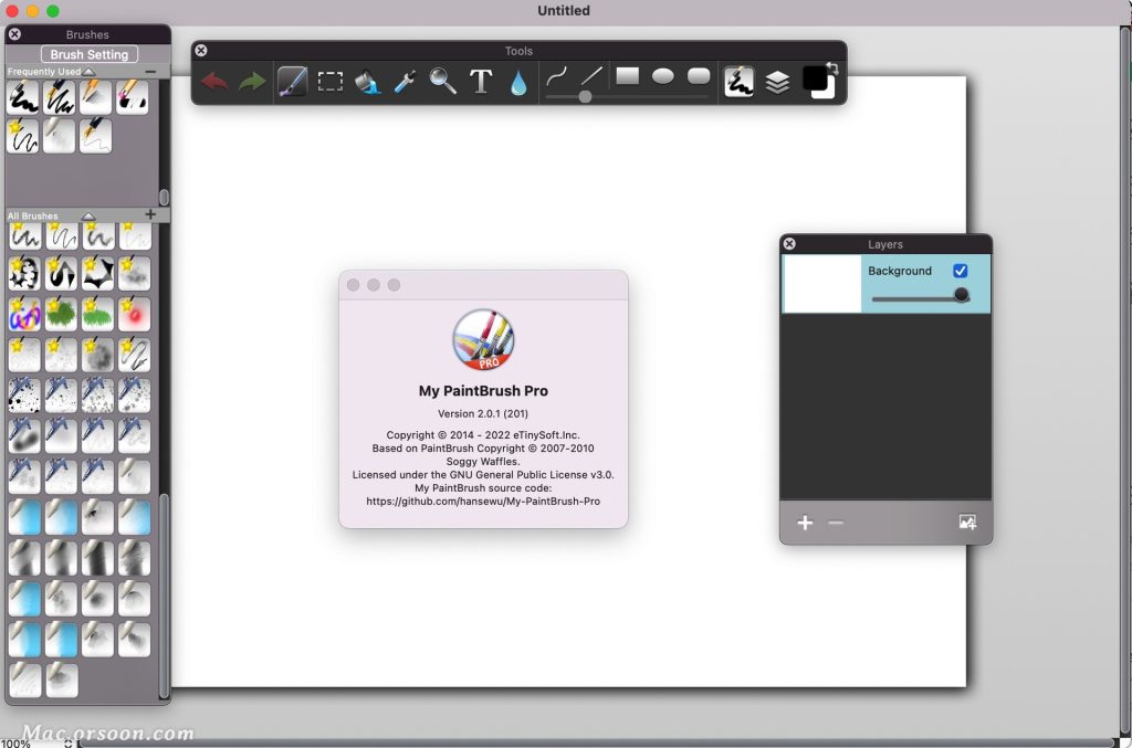 My PaintBrush Pro 2024 for macOS Free Download